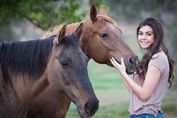 horse vet